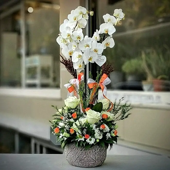 Orkide aranjmanı