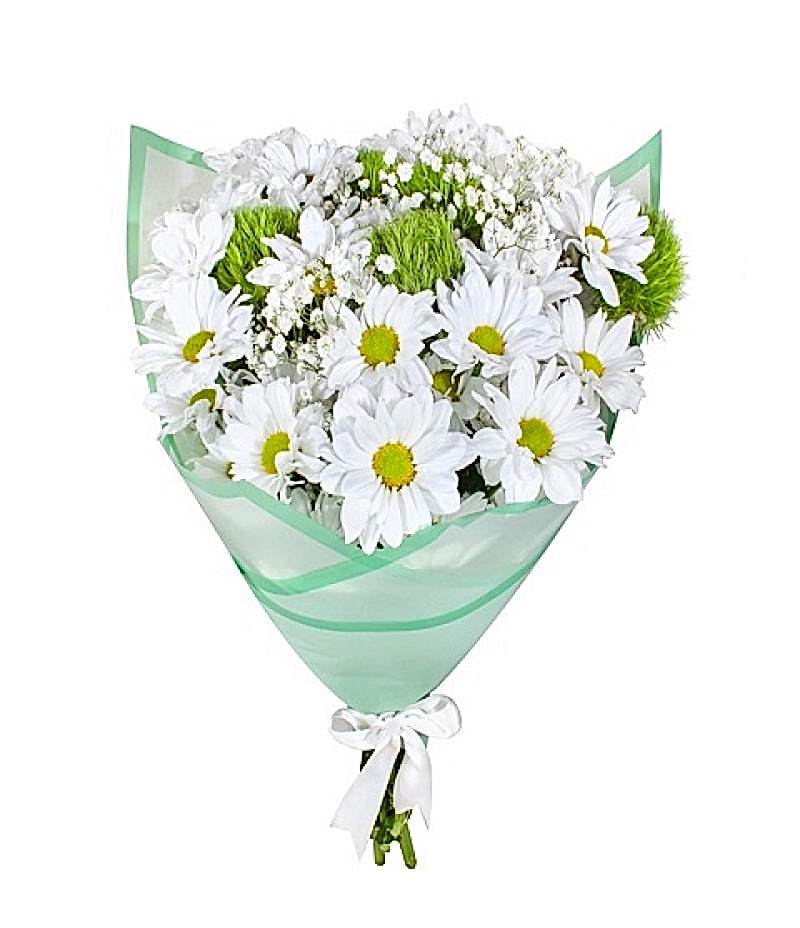 papatya beketi ceoss