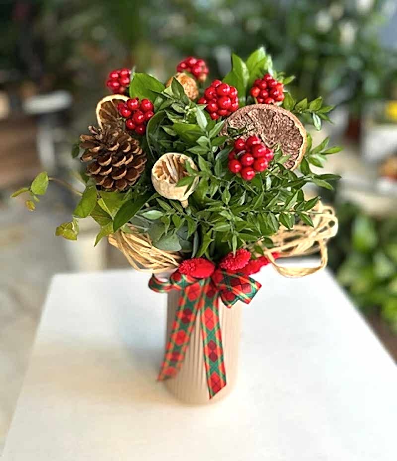 Yılbaşı çiçeği kokini