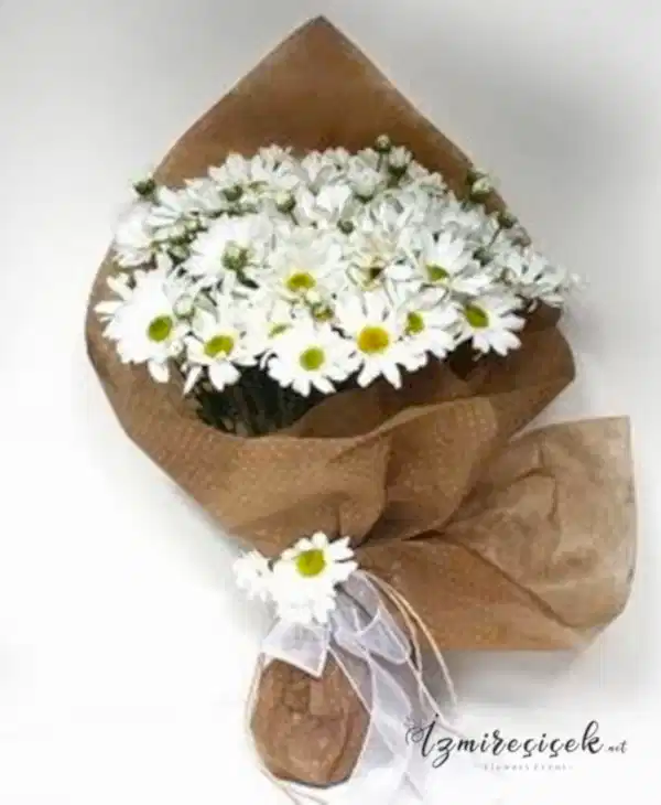 Masum beyaz papatya buketi