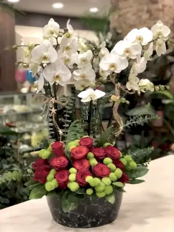 Orkide aranjman